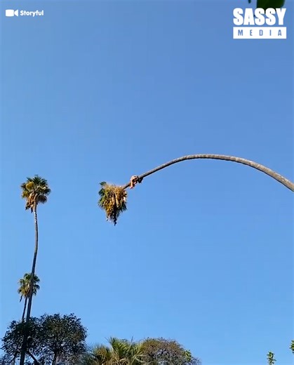 He was holding on for dear life! 😲😳 | Sassy