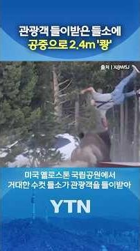 화난 들소, 노인 들이받더니… #shorts / YTN