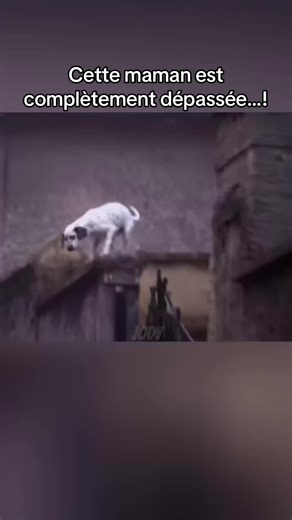 Comportement inquiétant d'une mère dans un reportage