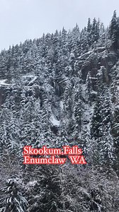 The word Skookum in the Chinook Tribe means evil spirit, however, I have also heard it was another name for Bigfoot… | Wander Wonder
