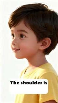 Parts of Body in English for learning #englishgrammar #learnenglish