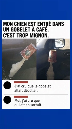 Hahahahah🤣#humour