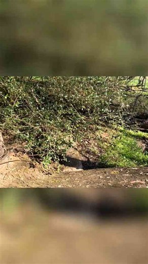 Flooded Vaults - Uncovering the Secrets of Silent Graves