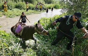 The threat of quicksand is real, dangerous in Southern California