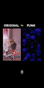 92K views · 4.8K reactions | BOUNCE FUNK (Slowed) ️| Original vs FUNK ️ #BOUNCE FUNK (Slowed) #phonkmusic #music_phonk #slowedandreverb #lyricsvideo #trend #bassboosted #headphones #originalvsfunk #slowedsongs #funk x.MOV | Push Music Songs | Facebook