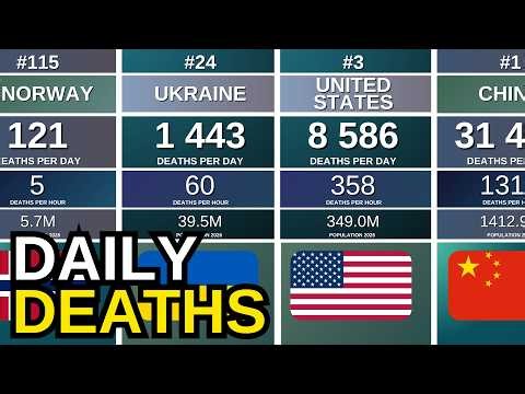 How Many People Die Each Day? | Global Ranking 2026