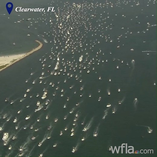 161K views · 6.6K reactions | PRESIDENT TRUMP BOAT PARADE: Thousands of Trump supporters in Pinellas County attempted to break the Guinness World Record for largest boat parade in the world Saturday. Do you think they did it? DETAILS: https://bit.ly/324kMV8 | WFLA News Channel 8 | Facebook