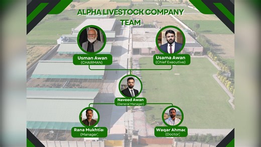 Alpha Livestock Farm | Pakistan’s FMD-Free Livestock Model | 21-Acre Modern Farm Documentary Welcome to Alpha Livestock Farm, a 21-acre state-of-the-art FMD-Free livestock facility in Pakistan. In this complete documentary, we take you inside one of the most advanced biosecure livestock farms, designed according to international FMD-Free standards. 🔹 Farm Highlights: • Total Area: 21 Acres • 3 Modern Bull Sheds with a capacity of 700–1000 bulls • Pakistan’s First Elevated Goat Shed with a capac