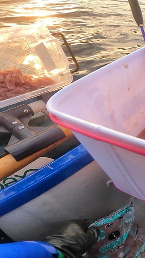 70m先に仕掛けを送り込むと…大物が簡単に釣れる仕掛けと釣り方をご紹介！ 「完全フカセ」 この釣りは針にオキアミを付けて潮に流していくシンプルな釣り 自然に流していくので大物が違和感なく喰ってきます。 僕はこの釣りをYouTubeで沢山紹介してます。 ぜひ観てみてください。 #完全フカセ #フカセ釣り #釣り #ミニボート #石鯛 #釣り方