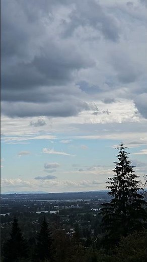 Hoke. Interactive Brokers Trader Workstation.Free app at: https://ibkr.com/referral/thomas5809