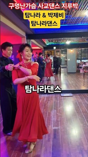 #탐나라댄스 박제비님과 탐나라 #사교댄스 #지루박 #인기트로트