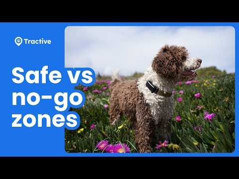How to Use Tractive GPS Virtual Fences