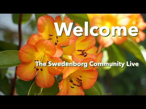 Swedenborg Discussion Group (TECH RUN)