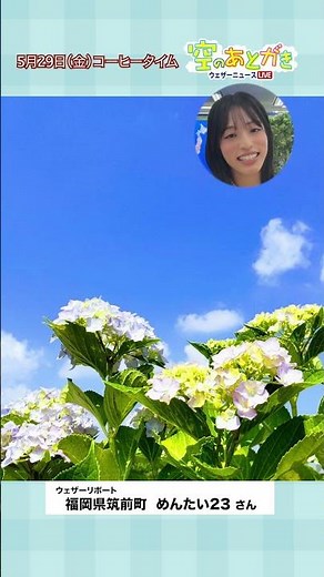 [Postscript from the Sky] What reports caught Matsumoto's attention? May 29th #CommutingTimePa #M...