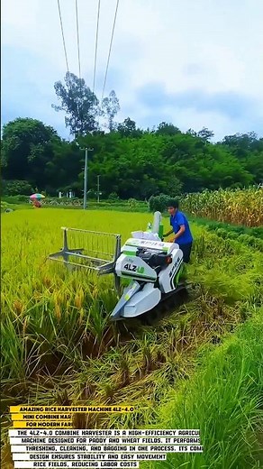Amazing Rice Harvester Machine 4LZ-4.0 | Smart Mini Combine Harvester for Modern Farming 2025
