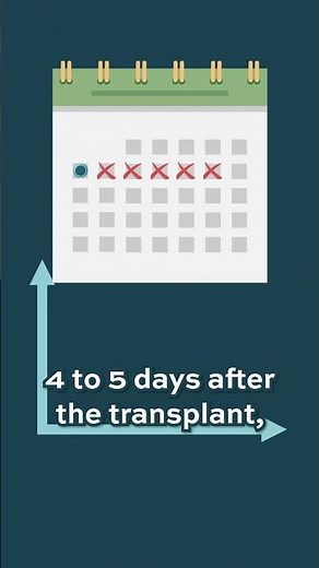 What is neutropenia?