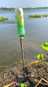 Primitive Fishing Method | Fishing Village