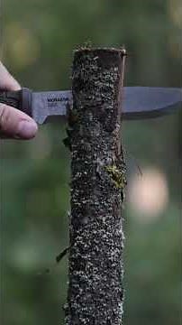 Batoning with @trustintimber