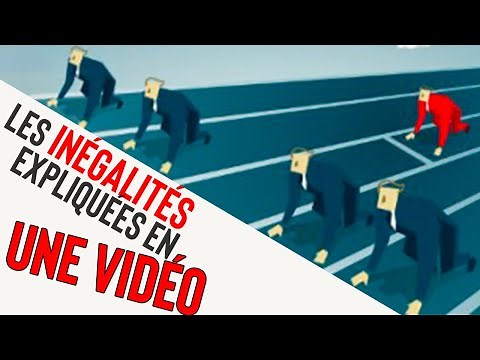 SOCIAL INEQUALITIES EXPLAINED IN VIDEO