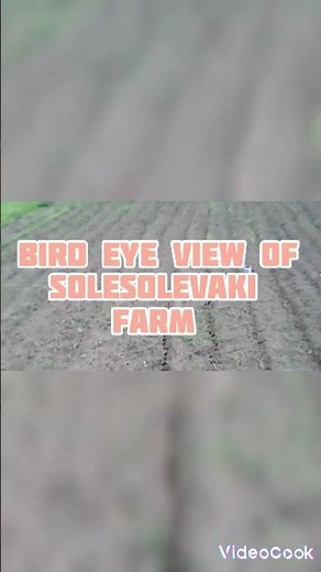 Testing out the New Drone KY-UFO