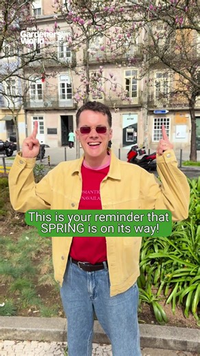 Have you spotted the first signs of spring yet? Our Digital Editor, Blake, has been exploring Porto in Portugal, where flowers and blossoms are already heralding the new season. A reminder that spring is just around the corner, and to keep your eyes peeled for blooms at home! Share your own spring sightings in the comments and celebrate the start of the season with us 🌸 #Spring #SpringBlossom #GardenersWorld