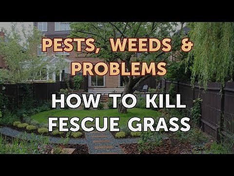 How to Kill Fescue Grass