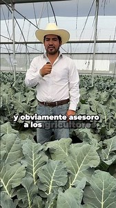 🌍🌾Licenciatura en Ingeniería en Agronomía #UAEH