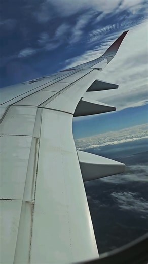 126K views · 2.3K reactions | JAL’s A350 on LDA approach to Haneda RWY22—flaps extending from 1+F through 2 and 3 into landing configuration. #aviationlovers #avgeek #planespotting #A350 #JAL #flaps #takeoff #landing #aviationdaily #aviationworld #airplaneaddict #instaaviation #Airbus #wingview #cockpitview #flapsequence | Aviation Gallery | Facebook