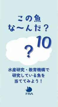 この魚な～んだ？ (10) #釣り #水産研究・教育機構