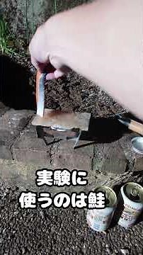 Use an alcohol stove