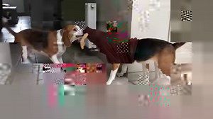 108K views · 1.5K reactions | New YouTube video! 藍 This week it's 10...