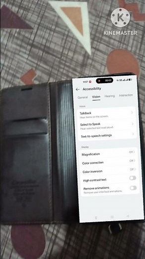 How To Make Colour Inversion On Settings
