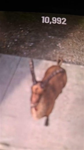 new goat simulator payday