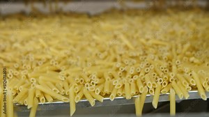 Macaroni factory. Production cycle of making pasta. Pasta is pouring and rolling in fast stream. Industrial line. Food background for restaurants or cafes, for brand advertise. Close up.
