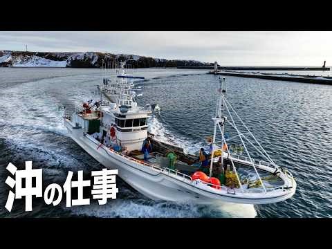 沖の仕事｜船団出漁と、一隻の帰港 ー Hokkaido Fishing Fleet | Work at Sea