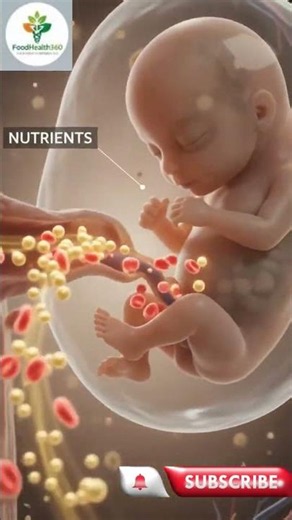 Discover How the Placenta Supports Life Before Birth | 3D Pregnancy Animation #shorts