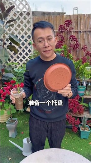 Master the Money Tree Pruning: Spring's Ultimate Guide