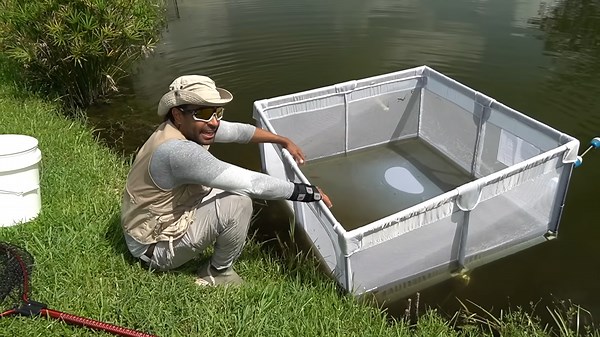 I Turned My Old Baby Cage Into a GIANT Fish Trap!