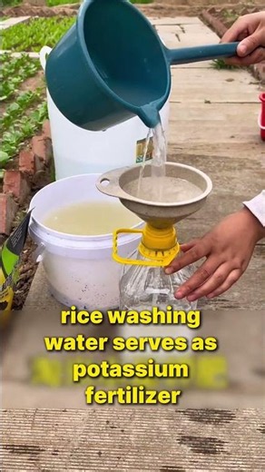 Do you know what common fertilizers we use in daily life?#fertilizer
