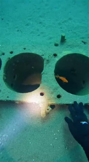 Diver Finds a Rusted Engine Block Under the Sand 🤿