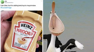 13 Cursed Images To Get You In The Halloween Spirit