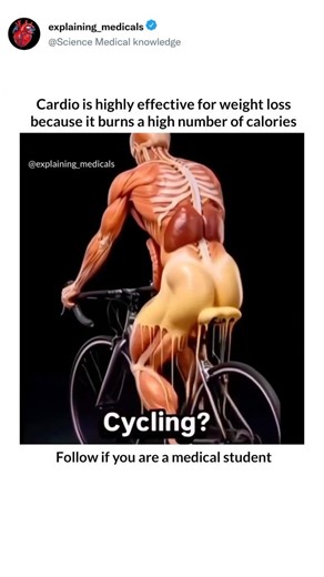 Cardio is highly effective for weight loss because it burns a high number of calories