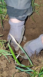 1M views · 3.5K reactions | Small dump with a set 101st airborne parachute T5 risers! #metaldetecting #ww2 #explorerpage #history #airborne #germany #adventure #relics #parachute #army #reels #wwii #wwiiunknown | WWII-Unknown | Facebook