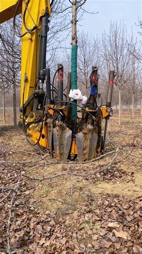 Top 5 Must-Have Tools for Nursery Tree Digging