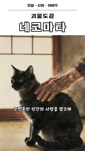 집고양이의 배신 일본 요괴 네코마타