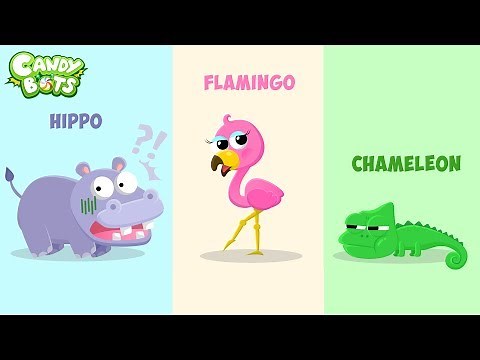Candybots Animals - Learn name and animal sound - Apps for Kids