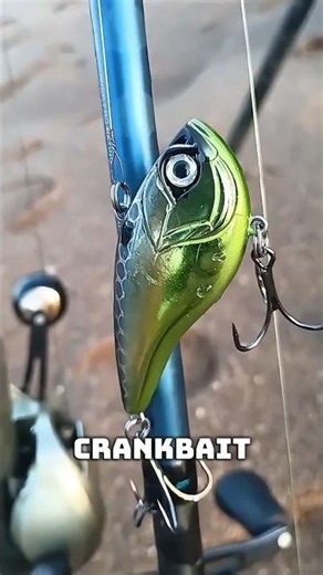 First Look at a Lipless Crankbait Built for Predator Fishing