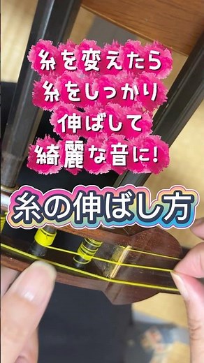 【長唄三味線】糸の伸ばし方。糸をしっかり伸ばして綺麗な音に。#三味線 #長唄 #糸の伸ばし方 #初心者
