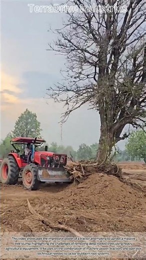 Tractor vs. Giant Tree Roots: Can It Uproot This Massive Stump