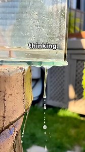 Being fishkeeping for 3 annoying things. #pets #fishkeeping #fishtank #usareels #fypviralシ | Trip Aquarium